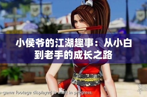 小侯爷的江湖趣事：从小白到老手的成长之路