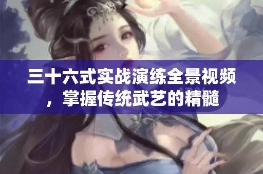 三十六式实战演练全景视频，掌握传统武艺的精髓