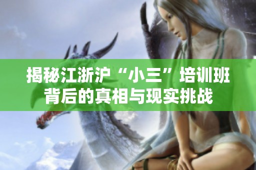 揭秘江浙沪“小三”培训班背后的真相与现实挑战
