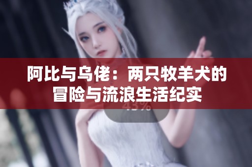 阿比与乌佬：两只牧羊犬的冒险与流浪生活纪实
