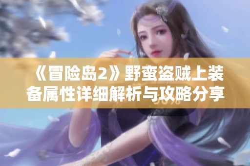 《冒险岛2》野蛮盗贼上装备属性详细解析与攻略分享