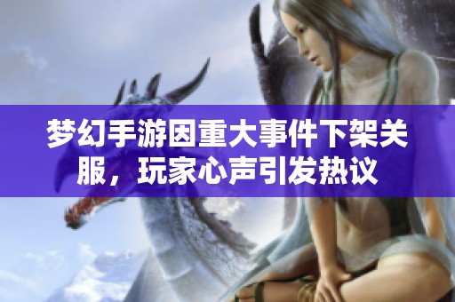 梦幻手游因重大事件下架关服，玩家心声引发热议