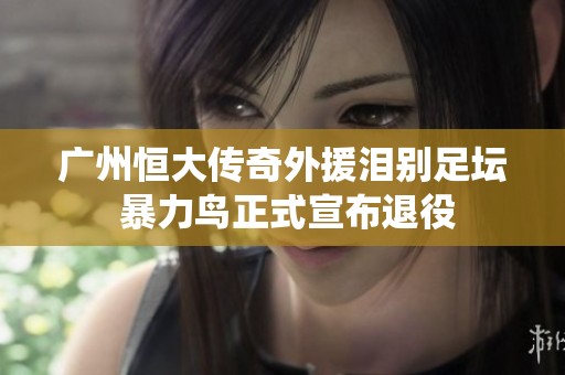 广州恒大传奇外援泪别足坛 暴力鸟正式宣布退役
