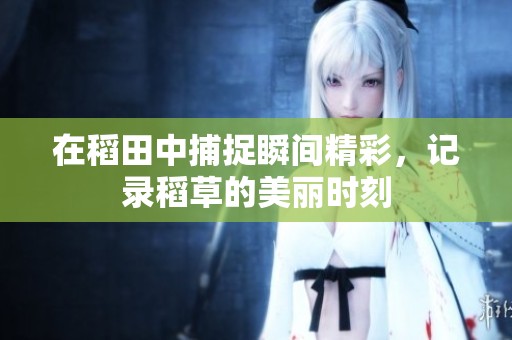 在稻田中捕捉瞬间精彩，记录稻草的美丽时刻