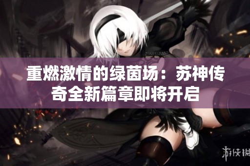 重燃激情的绿茵场：苏神传奇全新篇章即将开启