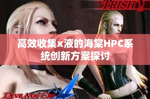 高效收集x液的海棠HPC系统创新方案探讨