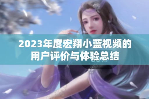 2023年度宏翔小蓝视频的用户评价与体验总结