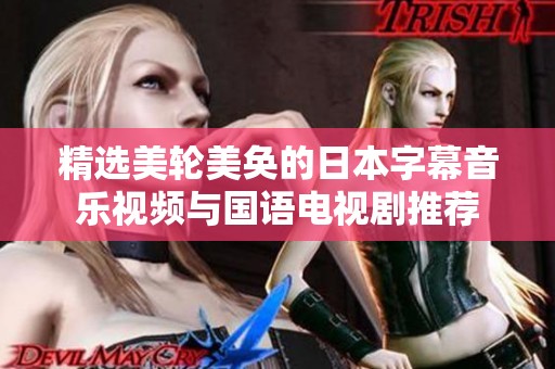 精选美轮美奂的日本字幕音乐视频与国语电视剧推荐