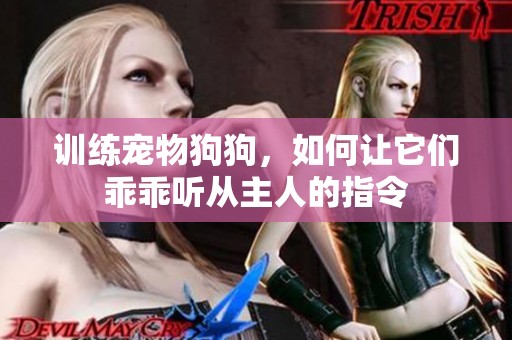 训练宠物狗狗，如何让它们乖乖听从主人的指令