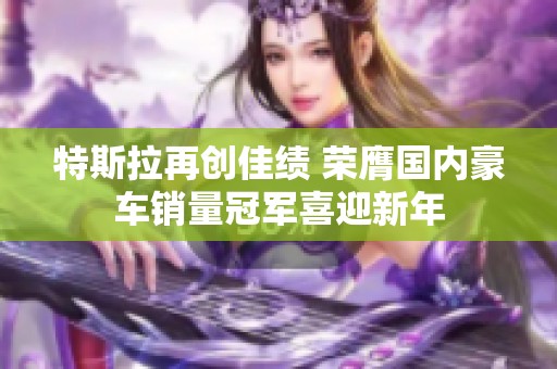 特斯拉再创佳绩 荣膺国内豪车销量冠军喜迎新年