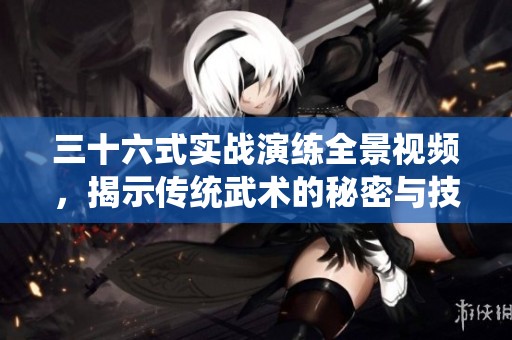 三十六式实战演练全景视频，揭示传统武术的秘密与技巧