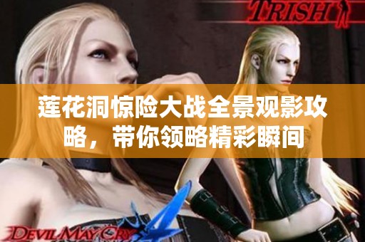 莲花洞惊险大战全景观影攻略，带你领略精彩瞬间