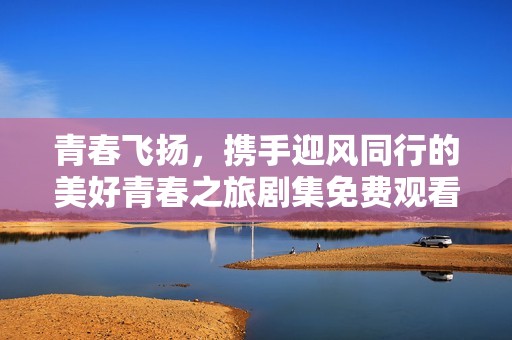 青春飞扬，携手迎风同行的美好青春之旅剧集免费观看