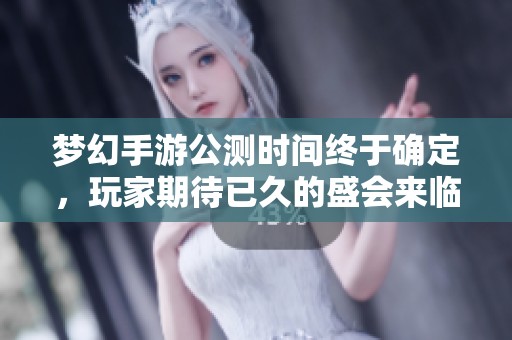 梦幻手游公测时间终于确定，玩家期待已久的盛会来临注解