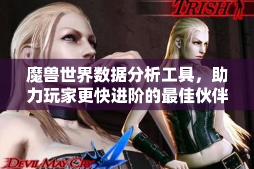 魔兽世界数据分析工具，助力玩家更快进阶的最佳伙伴