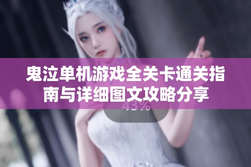 鬼泣单机游戏全关卡通关指南与详细图文攻略分享