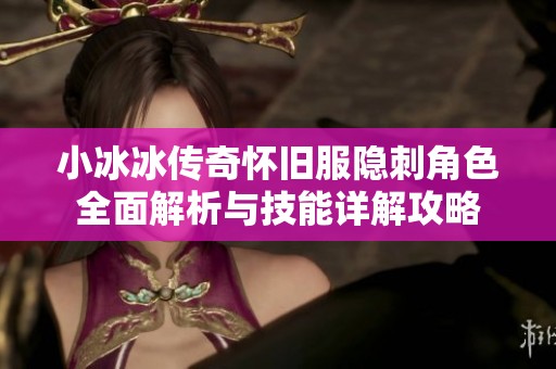 小冰冰传奇怀旧服隐刺角色全面解析与技能详解攻略