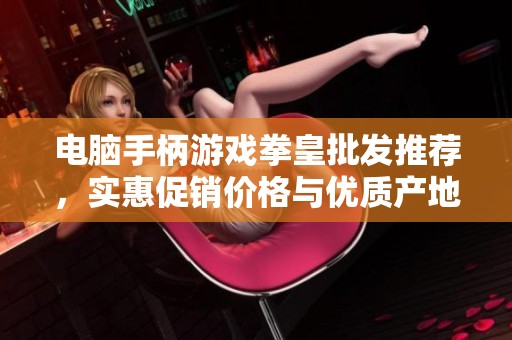 电脑手柄游戏拳皇批发推荐，实惠促销价格与优质产地一站式服务