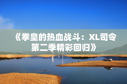 《拳皇的热血战斗:XL司令第二季精彩回归》 《拳皇的热血战斗:XL司令第二季精彩回归》