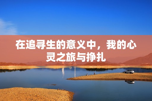 在追寻生的意义中，我的心灵之旅与挣扎