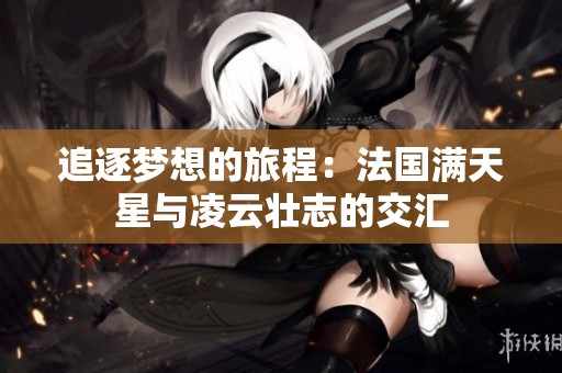 追逐梦想的旅程：法国满天星与凌云壮志的交汇