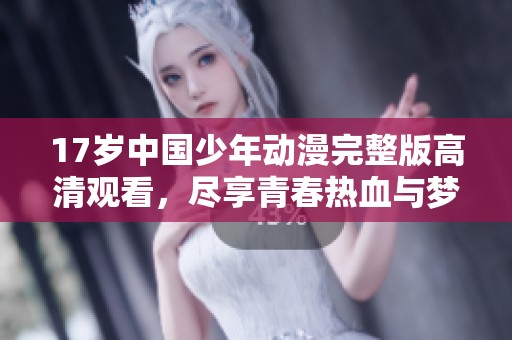 17岁中国少年动漫完整版高清观看，尽享青春热血与梦想故事