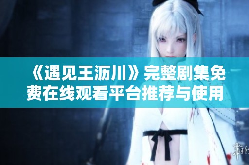 《遇见王沥川》完整剧集免费在线观看平台推荐与使用指南