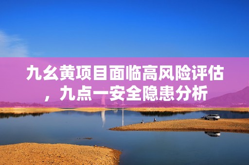 九幺黄项目面临高风险评估，九点一安全隐患分析
