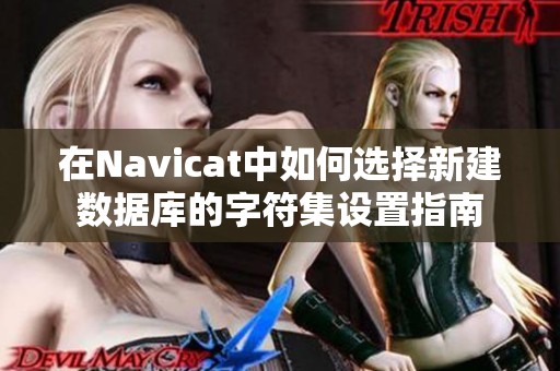 在Navicat中如何选择新建数据库的字符集设置指南
