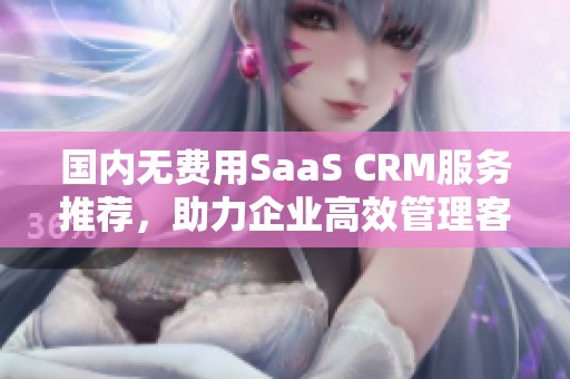 国内无费用SaaS CRM服务推荐，助力企业高效管理客户关系