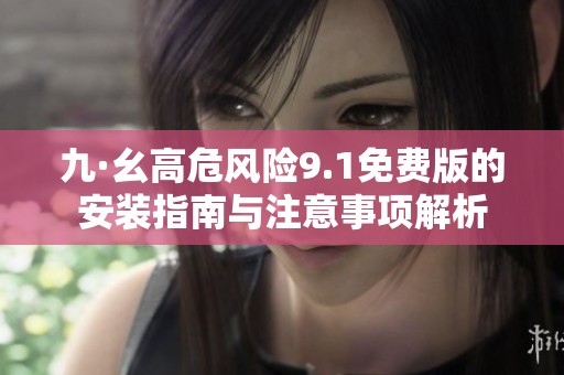 九·幺高危风险9.1免费版的安装指南与注意事项解析
