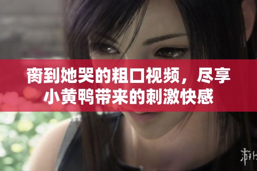 脔到她哭的粗口视频，尽享小黄鸭带来的刺激快感