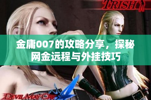 金庸007的攻略分享，探秘网金远程与外挂技巧