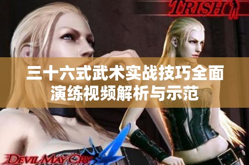 三十六式武术实战技巧全面演练视频解析与示范