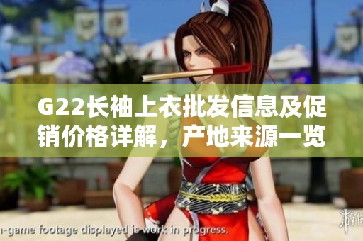 G22长袖上衣批发信息及促销价格详解，产地来源一览