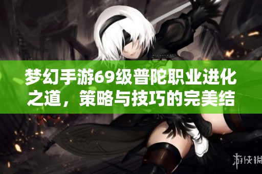 梦幻手游69级普陀职业进化之道，策略与技巧的完美结合揭秘