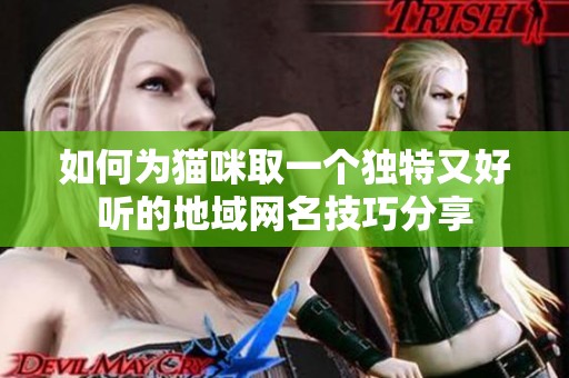 如何为猫咪取一个独特又好听的地域网名技巧分享