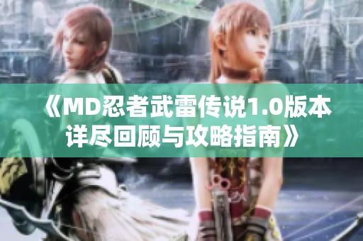 《MD忍者武雷传说1.0版本详尽回顾与攻略指南》