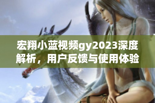 宏翔小蓝视频gy2023深度解析，用户反馈与使用体验全揭秘