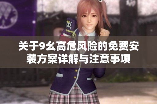 关于9幺高危风险的免费安装方案详解与注意事项