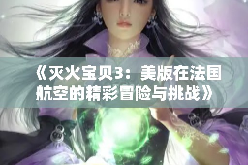 《灭火宝贝3：美版在法国航空的精彩冒险与挑战》