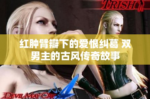 红肿臂瓣下的爱恨纠葛 双男主的古风传奇故事