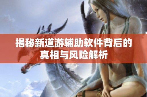 揭秘新道游辅助软件背后的真相与风险解析