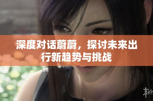 深度对话蔚蔚，探讨未来出行新趋势与挑战