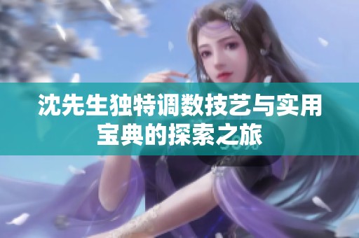 沈先生独特调数技艺与实用宝典的探索之旅