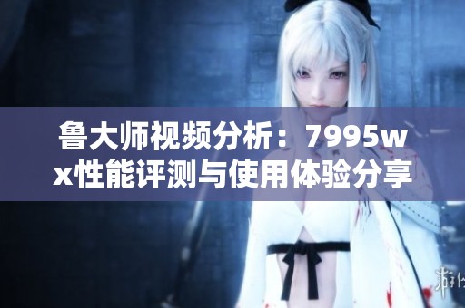 鲁大师视频分析：7995wx性能评测与使用体验分享
