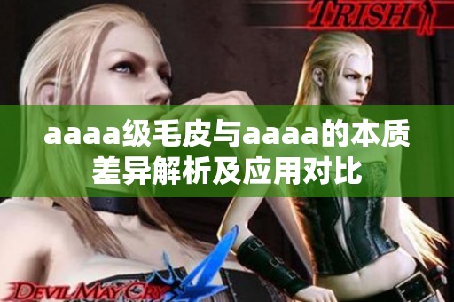 aaaa级毛皮与aaaa的本质差异解析及应用对比