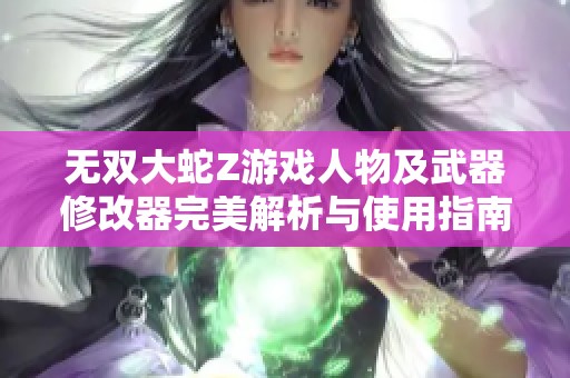 无双大蛇Z游戏人物及武器修改器完美解析与使用指南