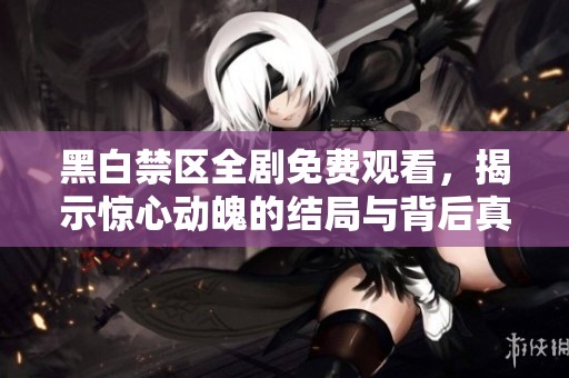 黑白禁区全剧免费观看，揭示惊心动魄的结局与背后真相
