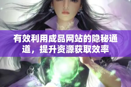 有效利用成品网站的隐秘通道，提升资源获取效率